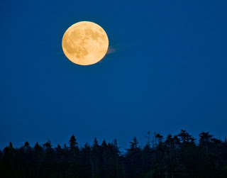 full moon over black tree line